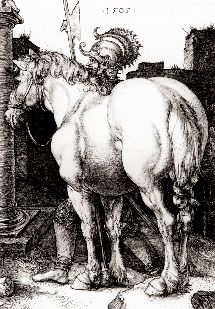  阿尔布雷特·丢勒Albrecht Dürer——素描与版画 (94)